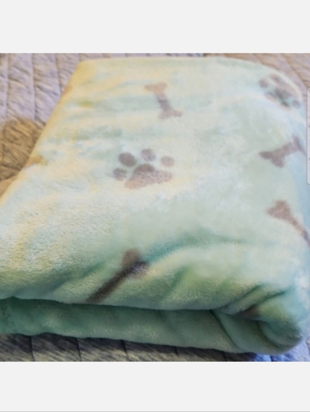 Tommy Hilfiger Light Mint Green Blue Gray Pawprints Bones Throw Blanket